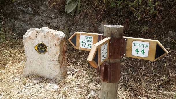 טיול אופניים ליער הזורע עם מיצובישי אאוטלנדר. צילום: רוני נאק