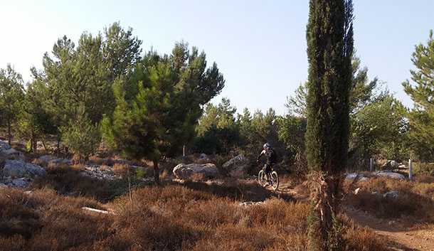 בן שמן למתקדמים. טיול בסינגלים הלא מסומנים של בן שמן והסביבה. מיועד לרוכבים מיומנים וממוגנים בלבד! צילום: רוני נאק