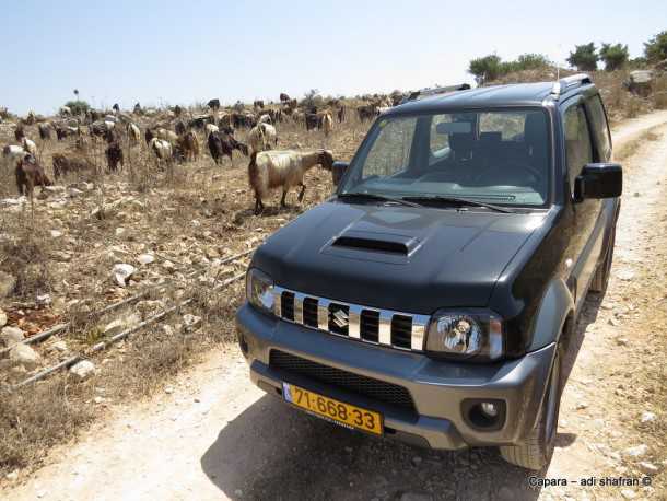 מגלים את בוסתן אברהם עם סוזוקי ג'ימני. צילום: עדי שפרן כפרה