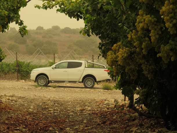 למעיינות ברמות מנשה עם מיצובישי טריטון. צילום: רוני נאק