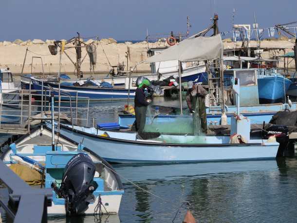 טיול אופניים בין נמל יפו לנמל תל אביב עם המון מה לראות, ללמוד ולטעום. צילום:רוני נאק