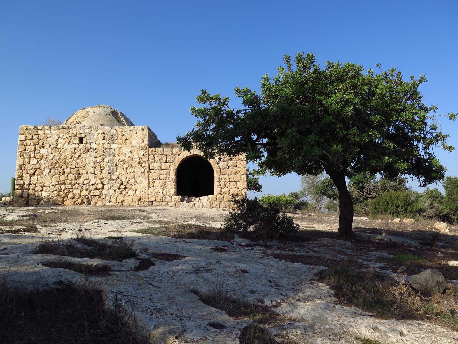 טיול שטח משדה משדה לאמציה דרך הנקודה המקסימה הזו והחרובים הטעימים שלידה. צילום: רוני נאק