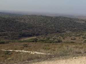 טיול שטח משדה משדה לאמציה דרך גבעת גד. מבט לדרום מערב - ביום בהיר מי שממש חייב יוכל לראות את עזה. צילום: רוני נאק
