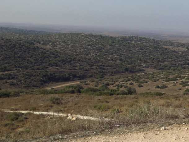 טיול שטח משדה משדה לאמציה דרך גבעת גד. מבט לדרום מערב - ביום בהיר מי שממש חייב יוכל לראות את עזה. צילום: רוני נאק