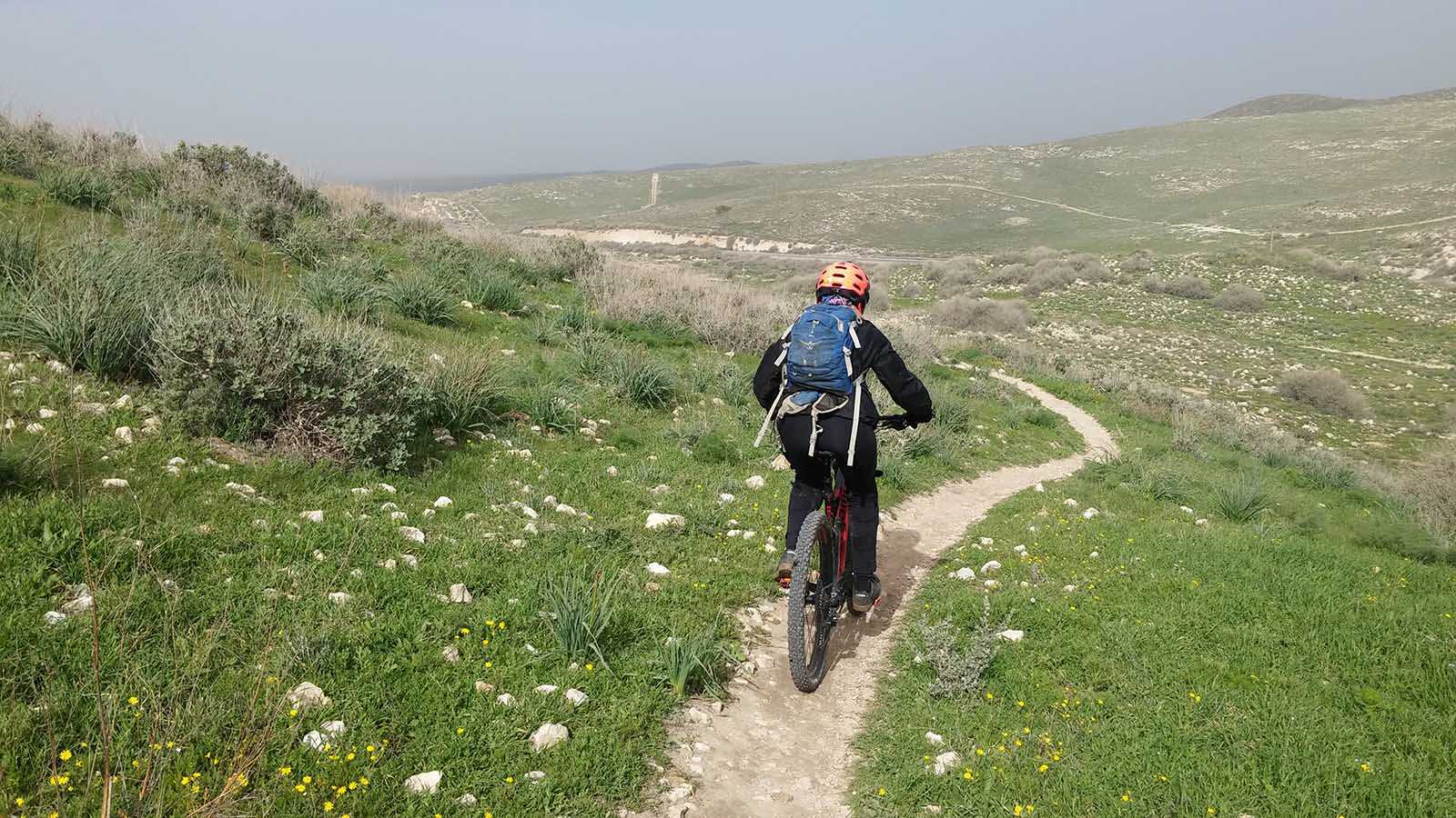 טיול אופניים סינגל יער להב. בין ביער ובין בשטח הפתוח, הסינגל הזה זורם ומהיר ומאד מהנה לקשת רחבה של רוכבי אופניים. צילום: רוני נאק