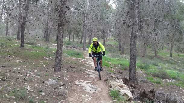 טיול אופניים סינגל יער להב. בין ביער ובין בשטח הפתוח, הסינגל הזה זורם ומהיר ומאד מהנה לקשת רחבה של רוכבי אופניים. צילום: רוני נאק