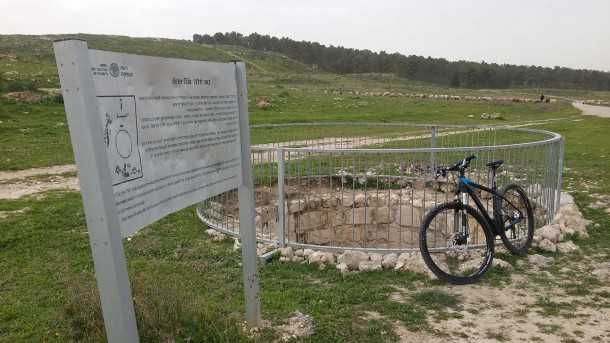 טיול אופניים סינגל יער להב. בין ביער ובין בשטח הפתוח, הסינגל הזה זורם ומהיר ומאד מהנה לקשת רחבה של רוכבי אופניים. צילום: רוני נאק