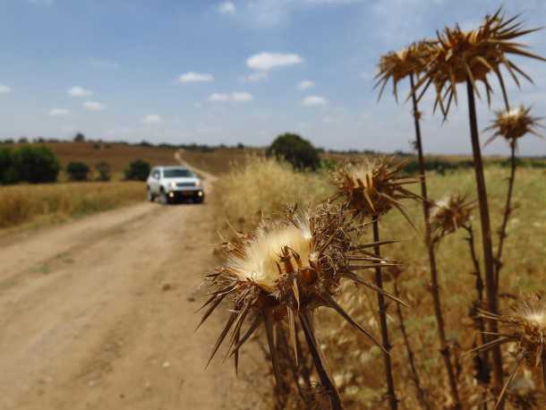 מבחן רכב ג'יפ רנגייד לימיטד. המון איבזור נוחות, רמת בטיחות גבוהה, מורשת מגובה ביכולת ותג מחיר גבוה. צילום: רוני נאק