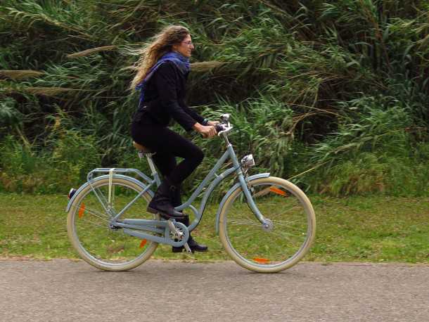 ברגמונט סאמרוויל. אופניים מודרניים במראה רטרו של שנות ה-50'. מוצר מאד מוקפד אבל גם אופניים יעילים. צילום: רוני נאק