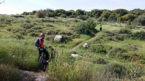 טיול אופניים סינגל זכריה. מסלול לא קשה או טכני מדי ומאד מהנה לביצוע מוקדם בבוקר. צילום: רוני נאק