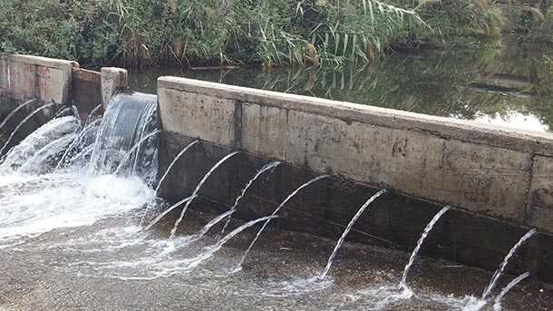 חם מזיעים, קיץ, אין כמו טבילה צוננת במי נחל צלולים עשירים בדגים וזורמים איתן בכל השנה. איפה זה? צילום: רוני נאק