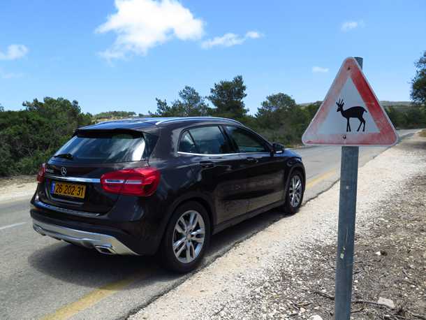 איך לבחור מכונית חדשה ב-2017? מרצדס GLA פרימיום פנאי והעלויות בהתאם. קניה רגשית או שכלתנית? צילום: רוני נאק