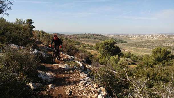 טיול אופניים סינגל אחיהוד. 22 קילומטרים מענגים של יער, נוף ורכיבה. צילום: רוני נאק