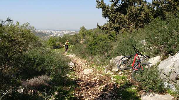 טיול אופניים בסינגל משגב. שילוב מהמם של מורדות זורמים, קטעים טכניים, מעלות מיוזעים וניווט אינטואיטיבי לגיבורים. צילום: רוני נאק