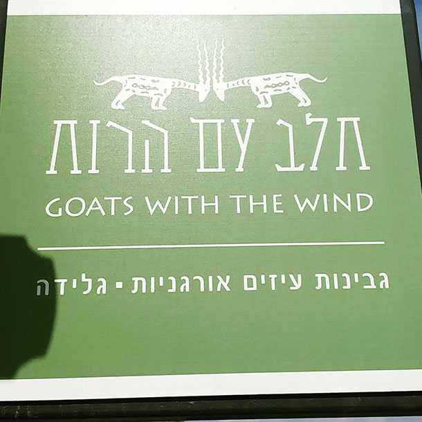 לאן נסענו עם סוזוקי סוויפט? לבואכה יודפת - מתחם תיירות גלילי. צילום: רוני נאק