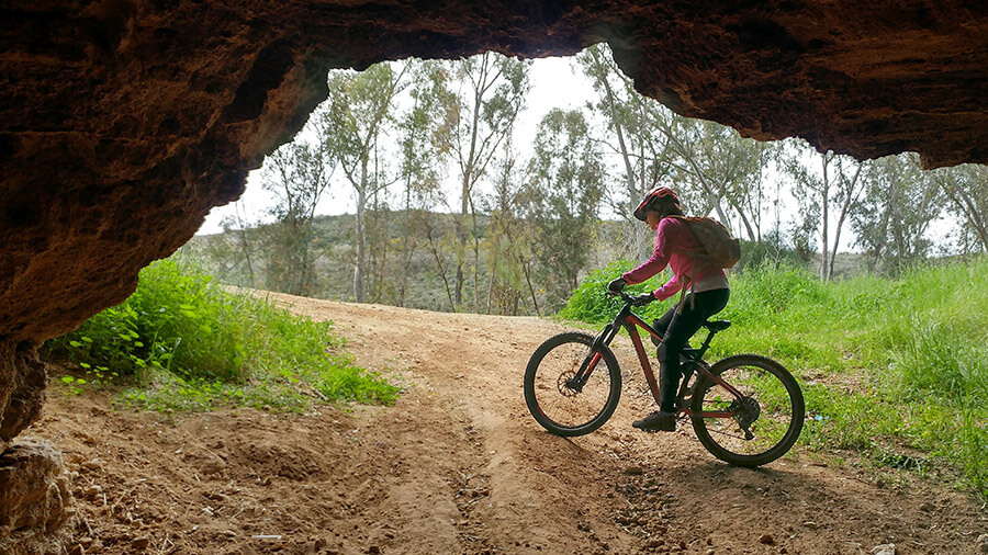 מסלול אופניים בסינגל גברעם המחודש. הזמן הוא זמן הכלניות המשובח בימי השנה לטיול בגברעם. צילום: רוני נאק