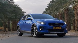 קיה אקסיד כחולה בדקלים